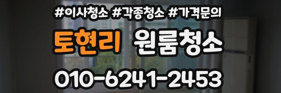 토현리 이사청소