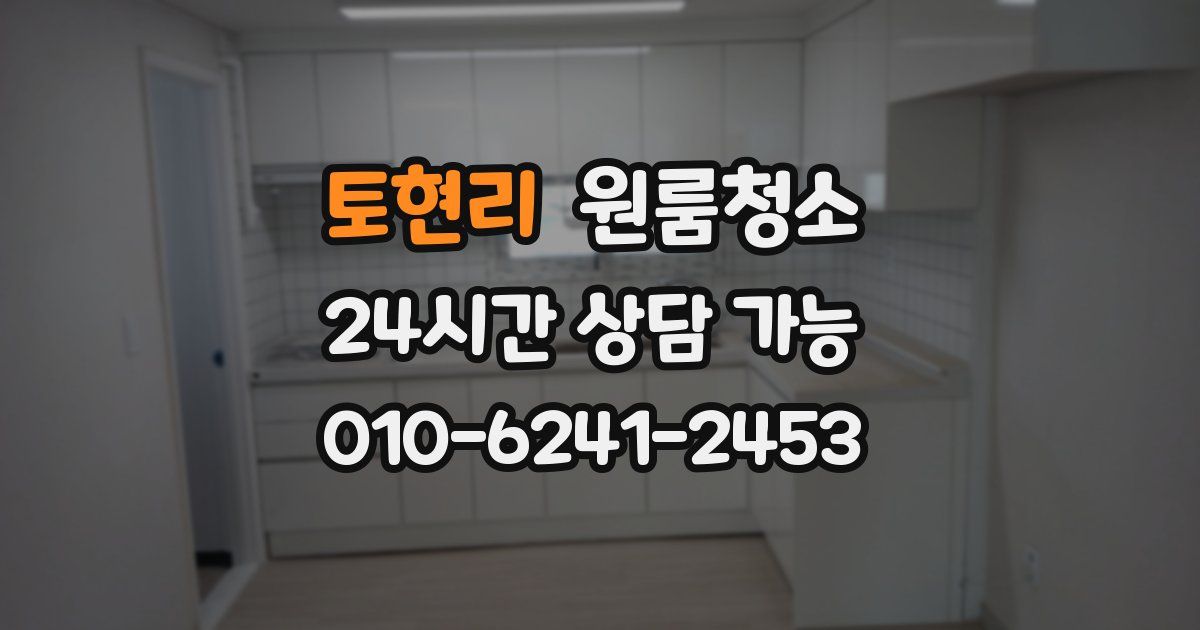 토현리 입주청소