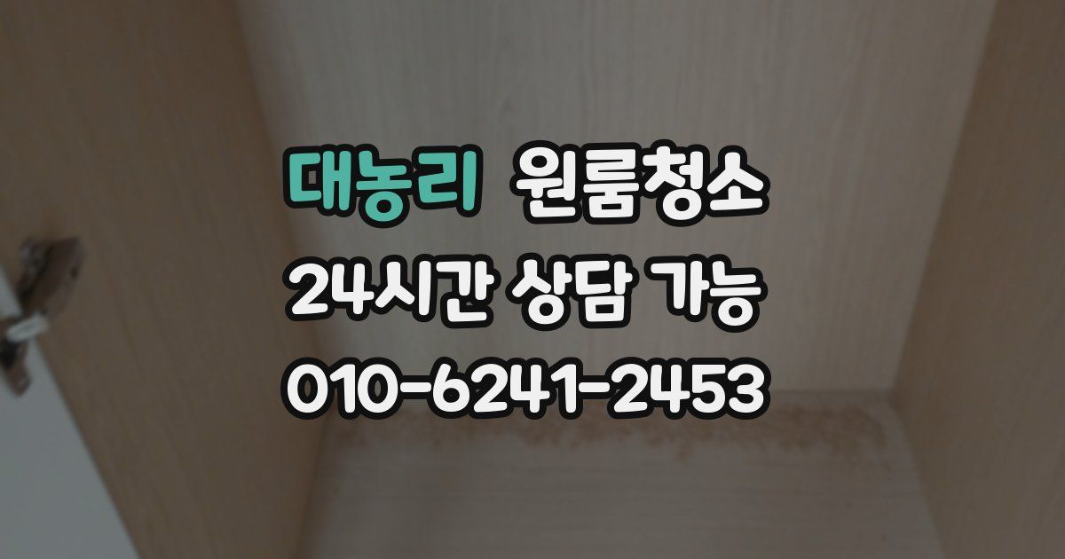 대농리 입주청소