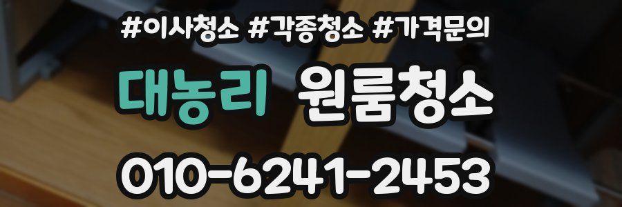 대농리 이사청소