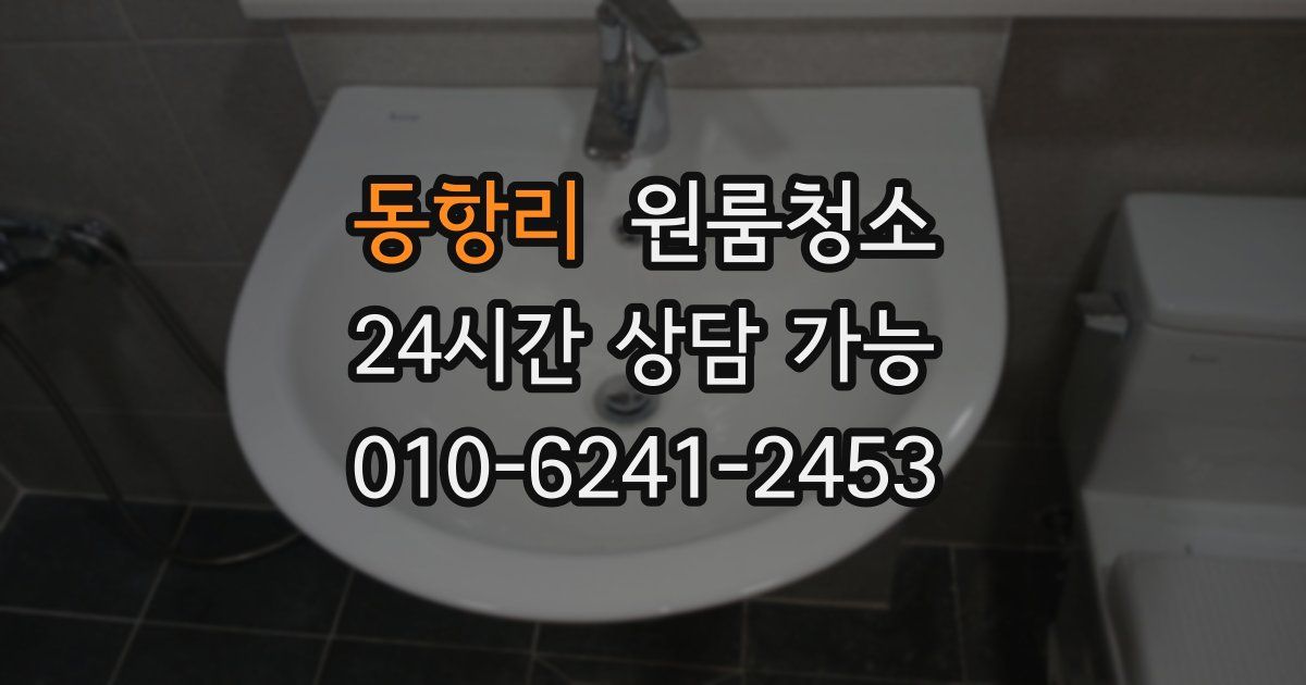 동항리 입주청소