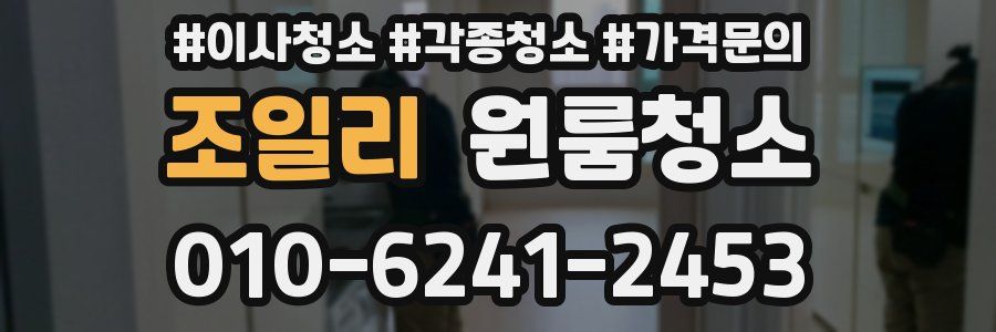 조일리 이사청소