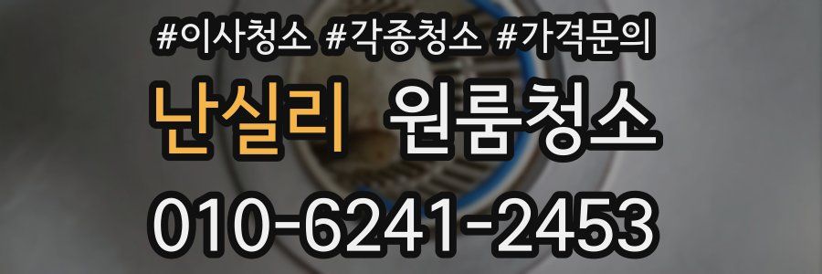 난실리 이사청소