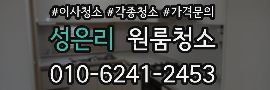 성은리 이사청소