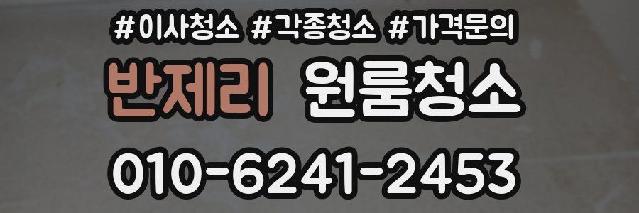 반제리 이사청소