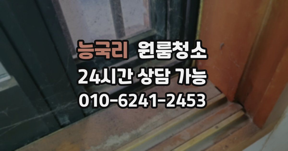 능국리 입주청소