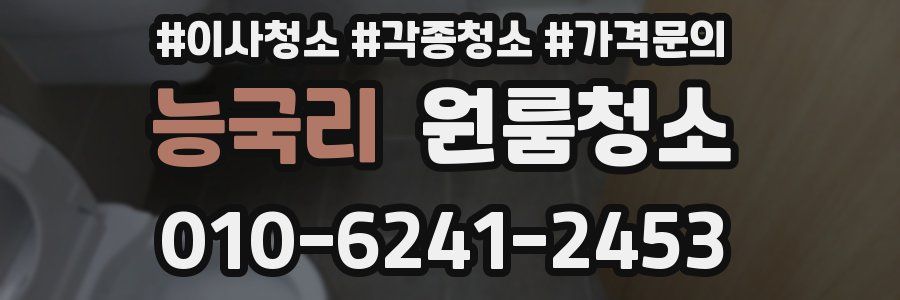 능국리 이사청소
