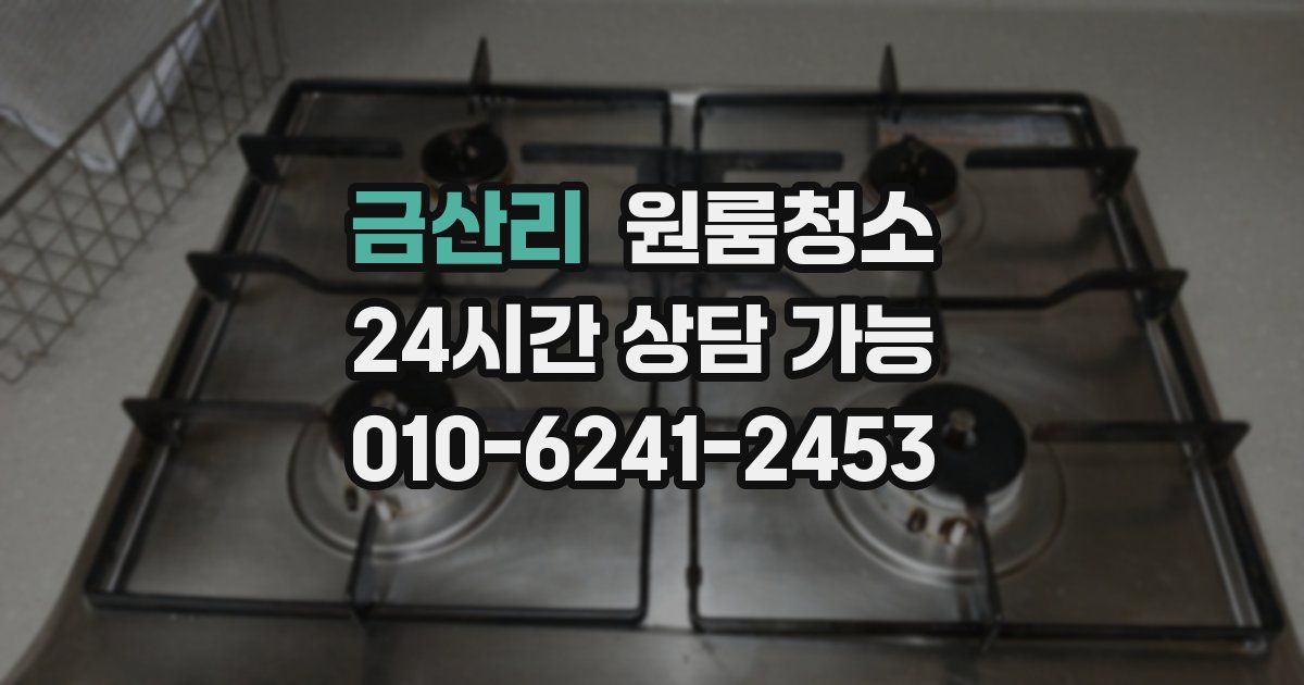 금산리 입주청소