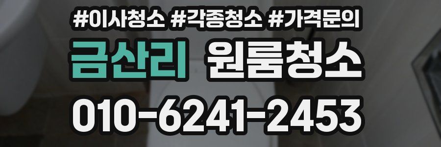 금산리 이사청소