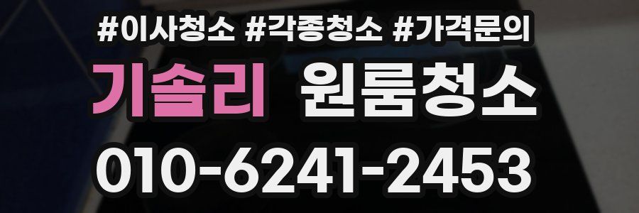 기솔리 이사청소