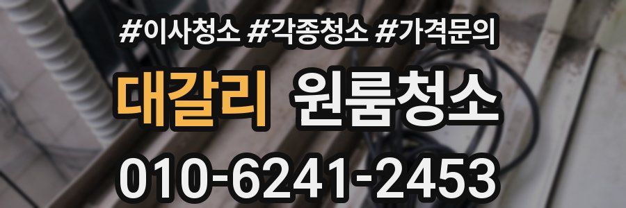 대갈리 이사청소