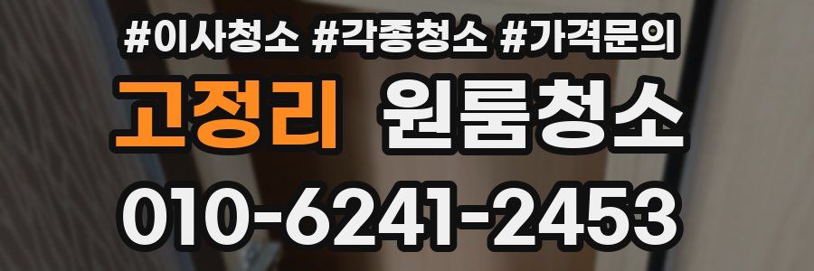 고정리 이사청소