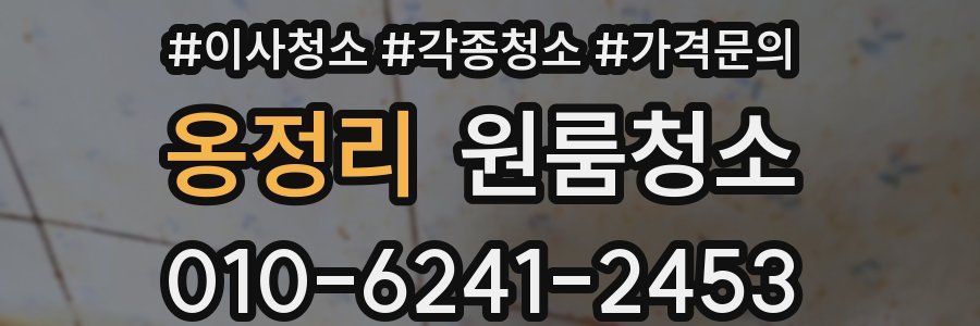 옹정리 이사청소