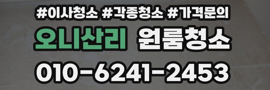 오니산리 이사청소