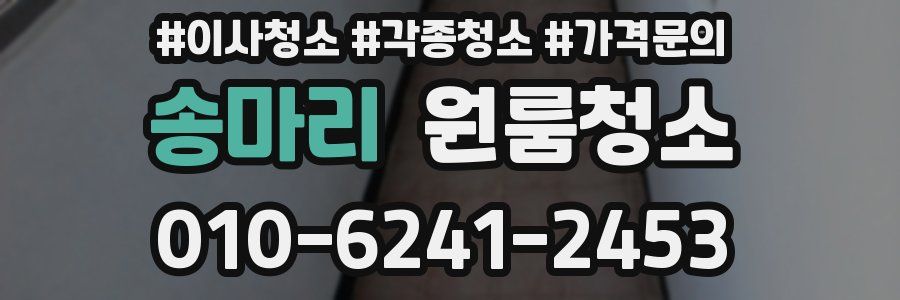 송마리 이사청소