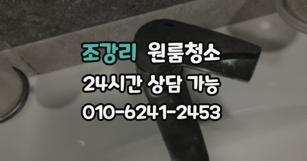 조강리 입주청소