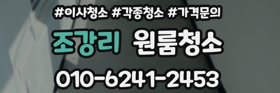 조강리 이사청소