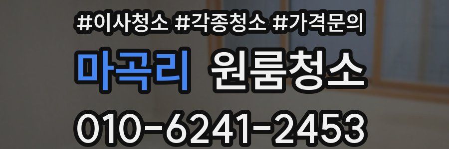 마곡리 이사청소