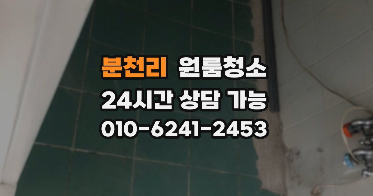 분천리 입주청소