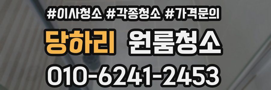 당하리 이사청소