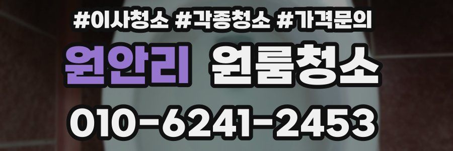 원안리 이사청소