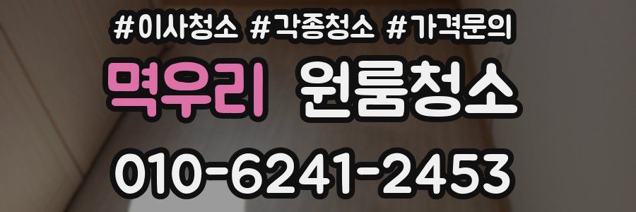 멱우리 이사청소