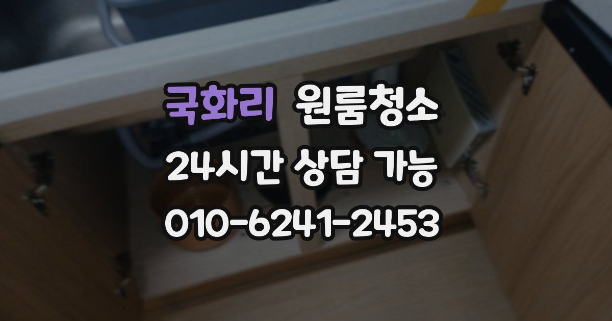 국화리 입주청소