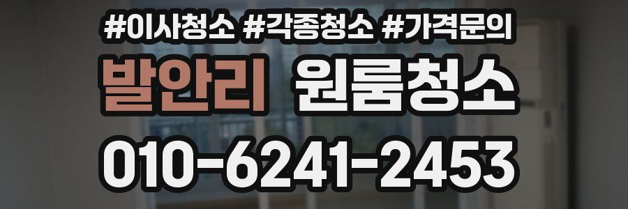 발안리 이사청소