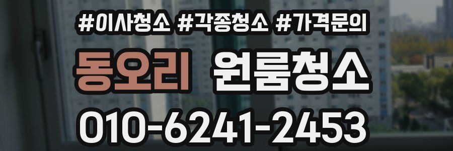 동오리 이사청소