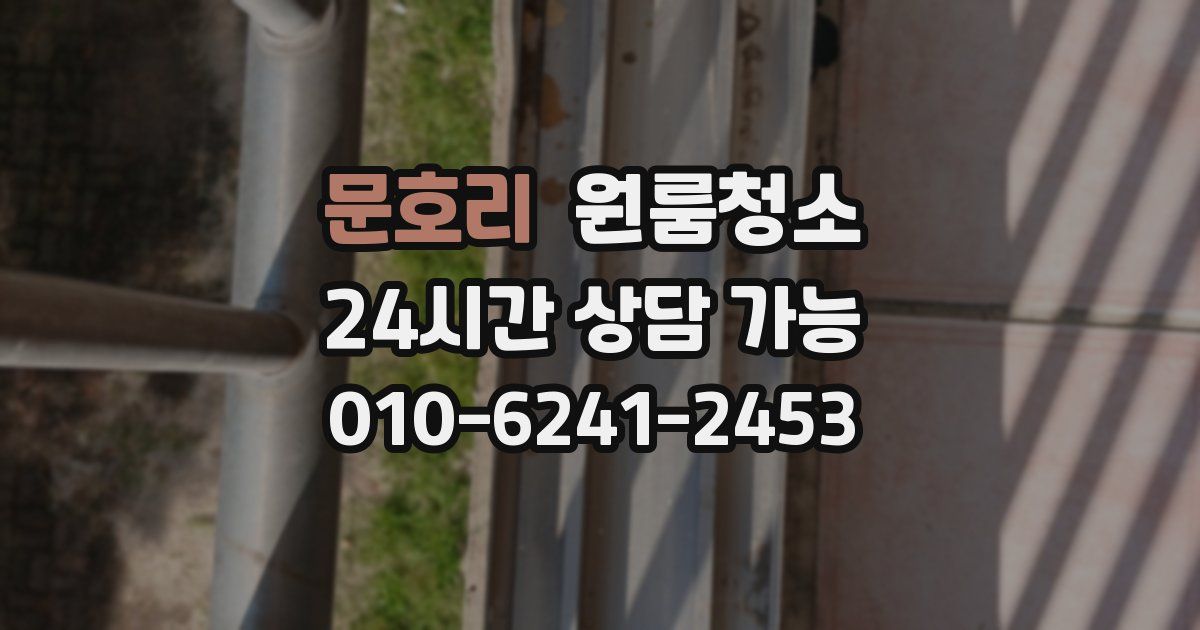 문호리 입주청소