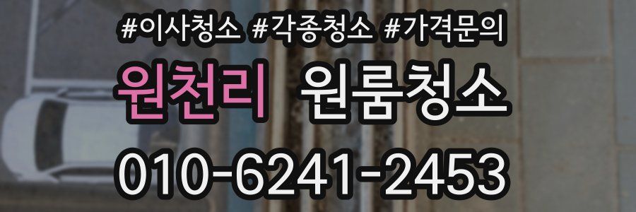 원천리 이사청소