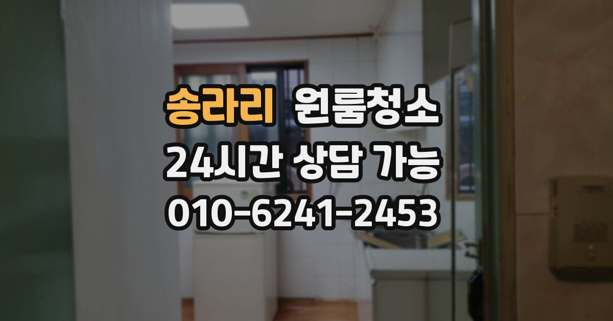 송라리 입주청소