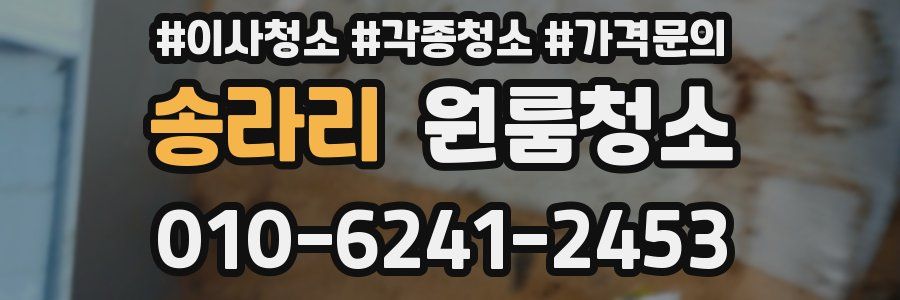 송라리 이사청소