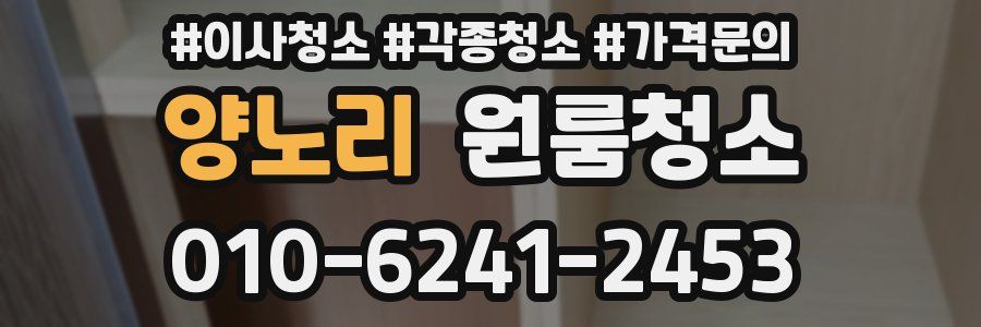 양노리 이사청소