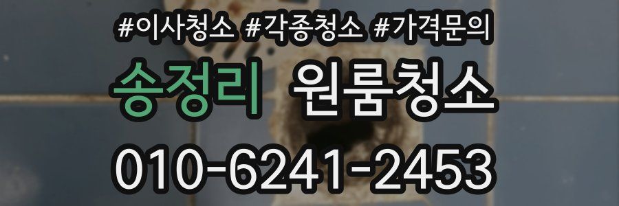 송정리 이사청소