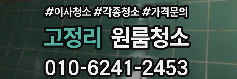 고정리 이사청소