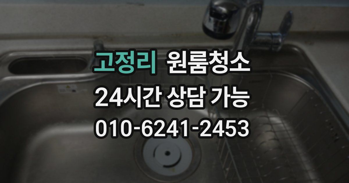 고정리 입주청소