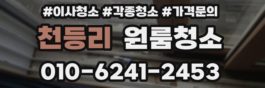 천등리 이사청소