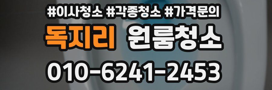 독지리 이사청소