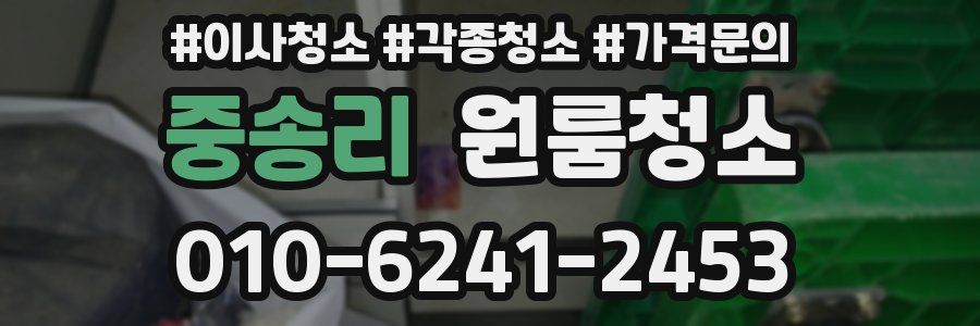 중송리 이사청소