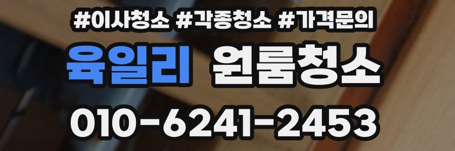 육일리 이사청소