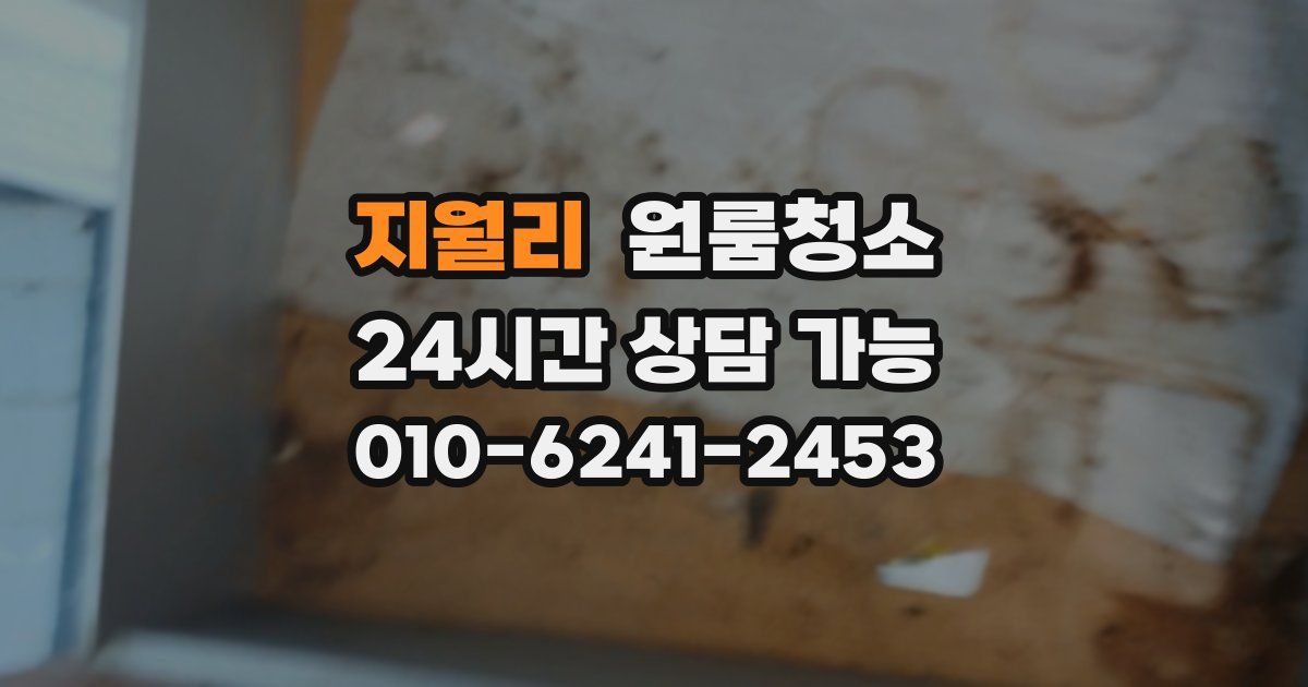 지월리 입주청소