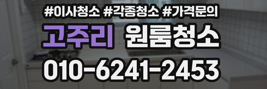 고주리 이사청소