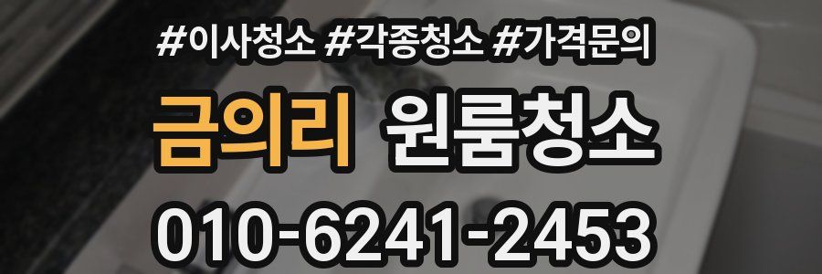 금의리 이사청소