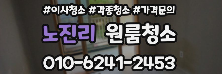 노진리 이사청소