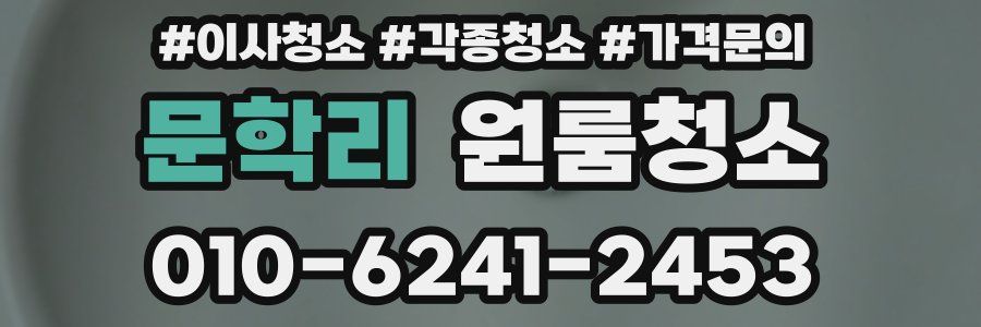 문학리 이사청소