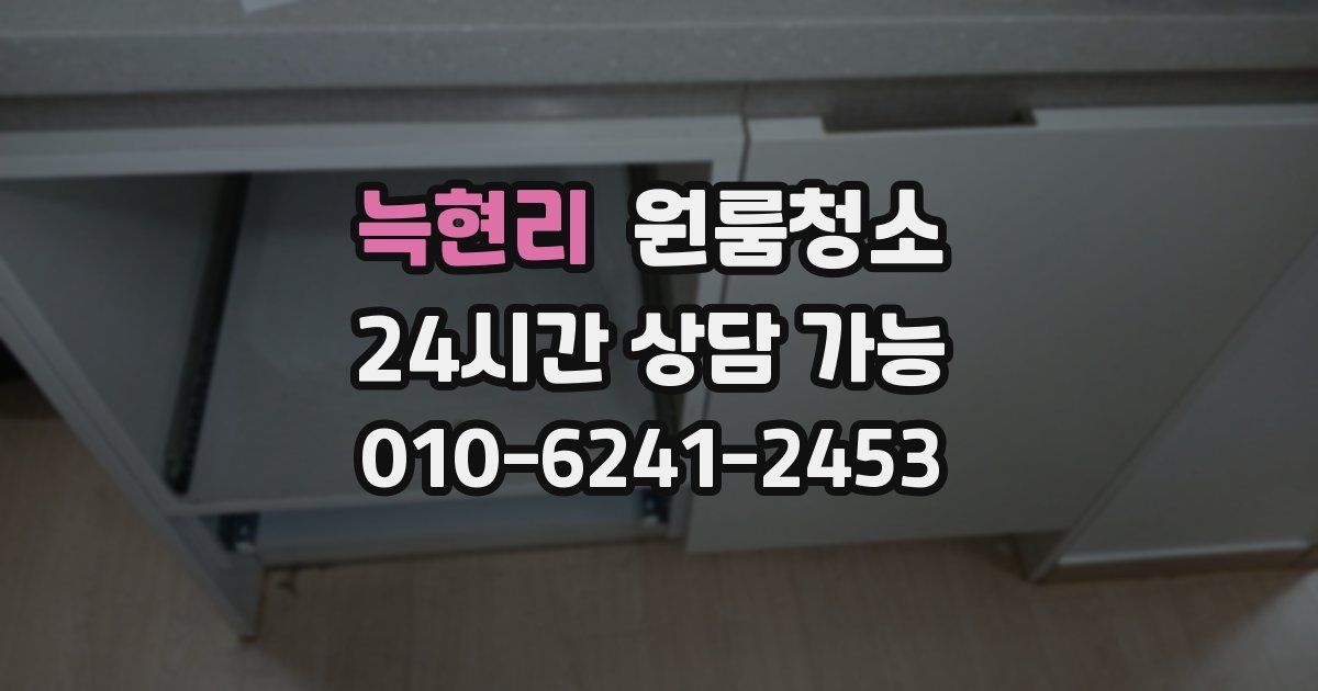 늑현리 입주청소