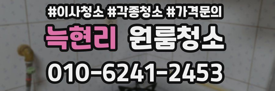 늑현리 이사청소