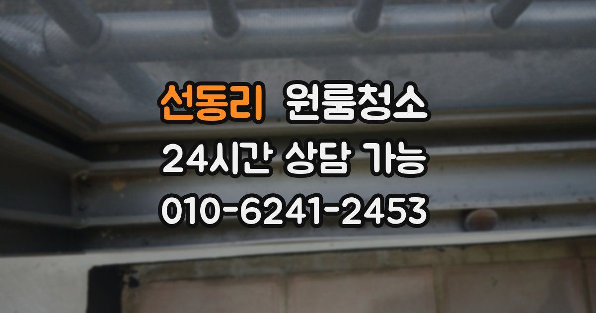 선동리 입주청소