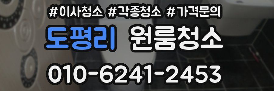 도평리 이사청소
